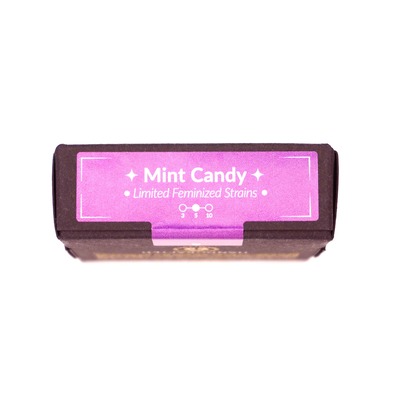 Mint Candy > Silent Seeds | Feminized Cannabis   |  Hybrid